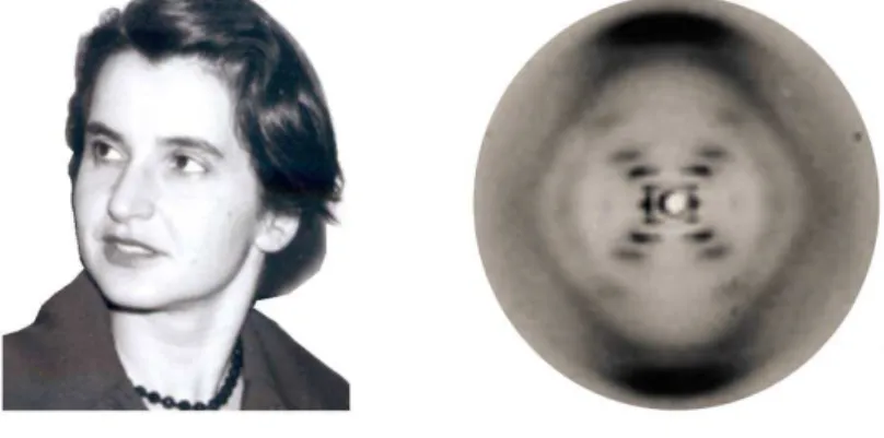Figura 2.1: Rosalind Franklin e o padr˜ao de difra¸c˜ao de raios-X do DNA