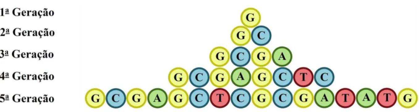 Figura 3.3: A sequˆencia quase-peri´odica de Rudin-Shapiro para as primeiras gera¸c˜oes, que crescem seguindo a regra de infla¸c˜ao G → GC, C → GA, A → T C e T → T A.