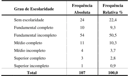 Tabela 4 – Frequências absolutas e relativas segundo o Nível de Escolaridade dos entrevistados 