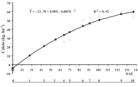FIGURA 6. Acumulação total de cálcio, considerando a média de dois híbridos de milho (GNZ 2004  e P 30F33), em função dos estádios fenológicos (dias após a emergência - DAE)