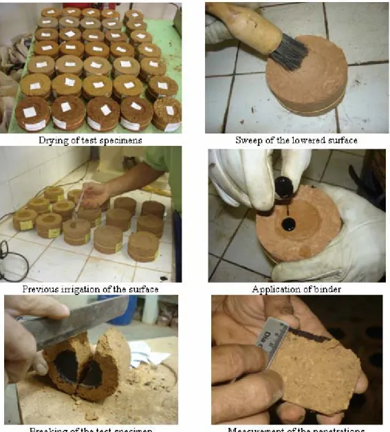 Figure 3 - Procedure for conducting the priming tests (RABÊLO, 2006). 