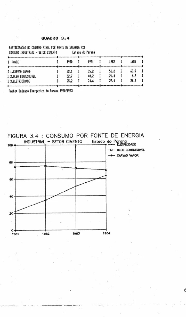FIGURA 3.4 : CONSUMO POR FONTE DE ENERGIA