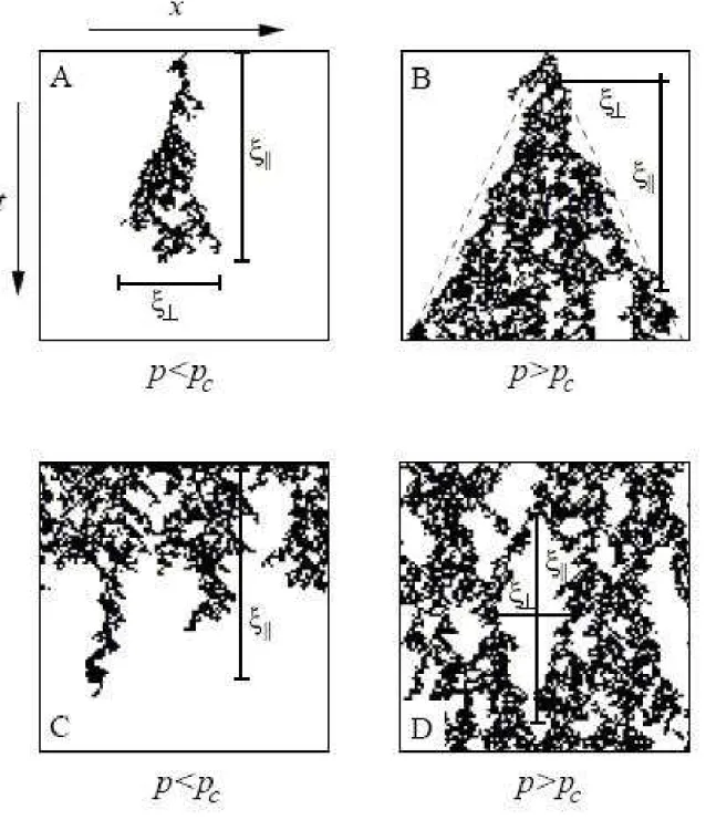 Figura 1.1: Interpreta¸c˜ ao dos comprimentos de correla¸c˜ao ν ⊥ e ν k nas regi˜ oes subcr´ıtica (es-