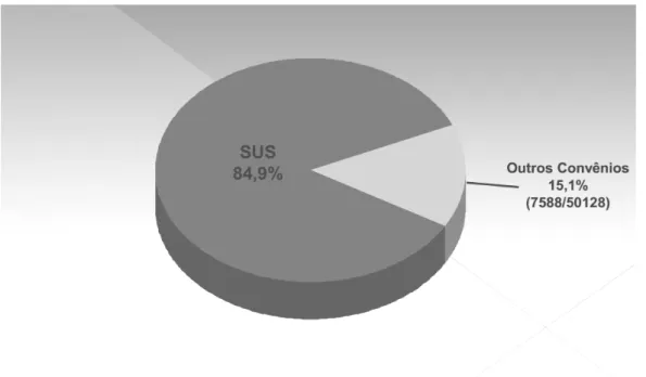 Figura 3. Porcentagem de pacientes em diálise segundo a fonte pagadora. 