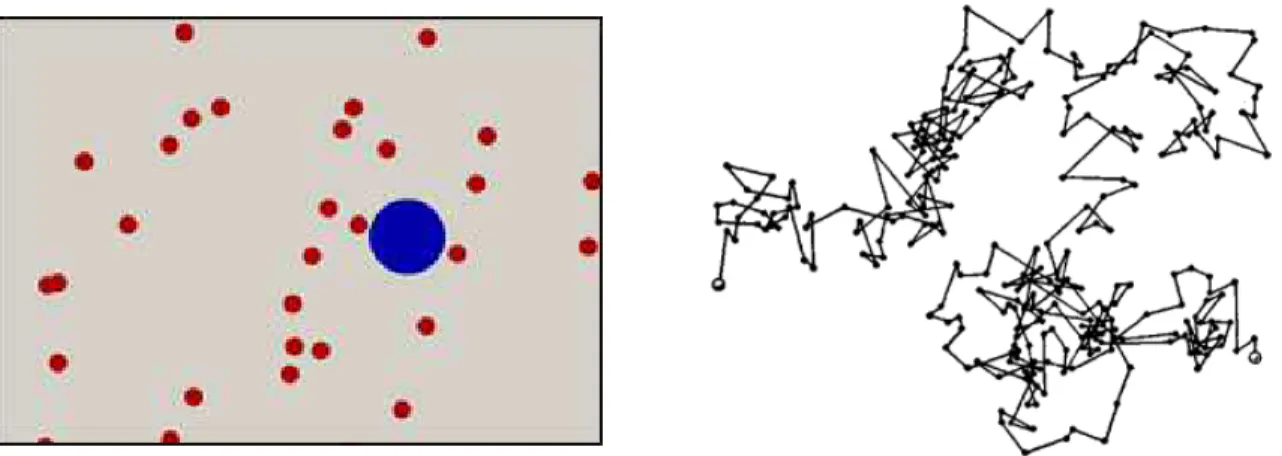 Figura 1.2: À esquerda a bolinha em azul representa a partícula em suspensão no soluto, as bolinhas em vermelho representam as moléculas da solução