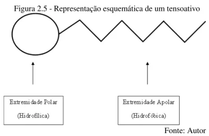 Figura 2.5 - Representação esquemática de um tensoativo 