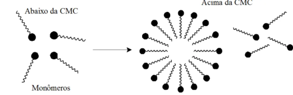 Figura 2.6 - Formação de micelas. 