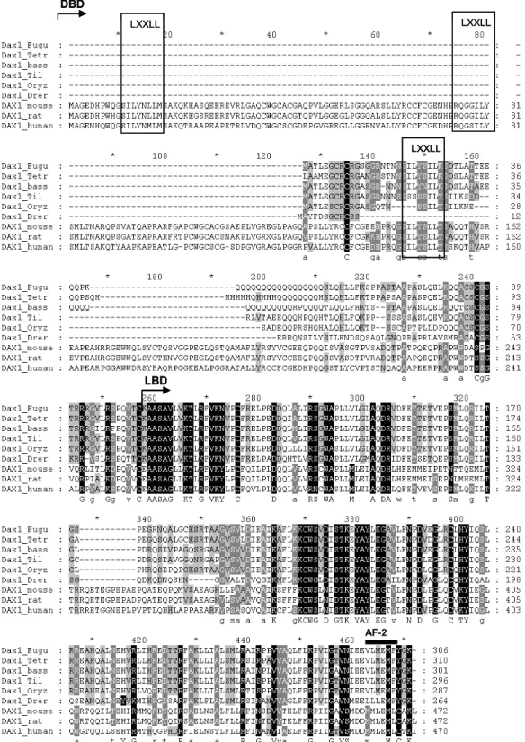 Figure 2 – Multiple sequence alignment of DAX1 protein. Identical and similar amino  acids are marked with asterisks and dots, respectively