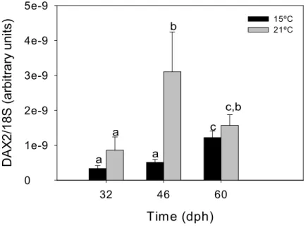 Figure 7- DAX2 mRNA expression during early development in European sea bass. 