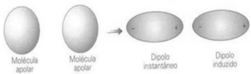 Figura 3.1 - Representação esquemática da formação de um  dipolo induzido e dipolo instantâneo em moléculas apolares