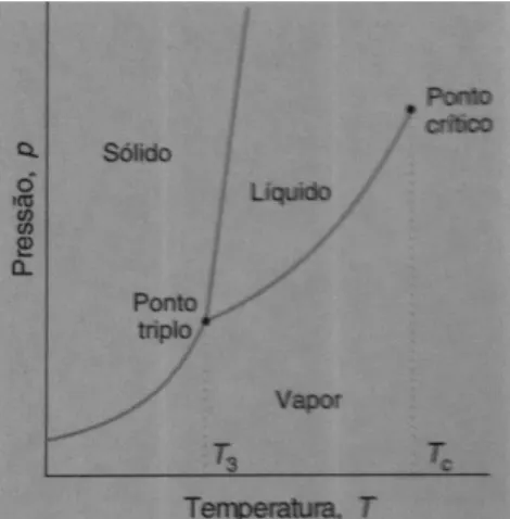 Figura  3.3  -  Diagrama  de  fases  onde  são  visíveis  as  regiões  de  temperatura e pressão onde uma  fase (sólida, líquida ou gasosa) é  estável (Atkins, 1996)