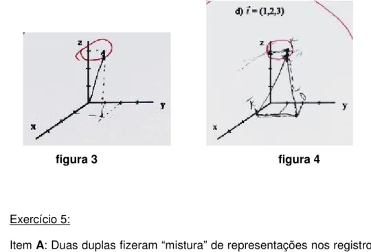 figura 3                                                        figura 4 