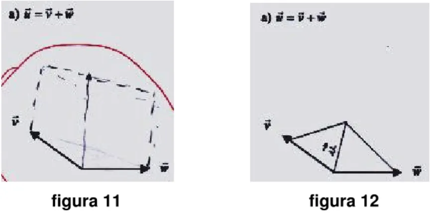 figura 11                                        figura 12 