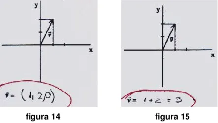 figura 14                                         figura 15 