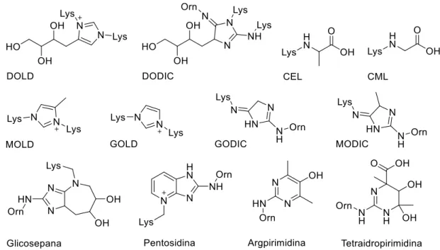 Figura 2. Estruturas de alguns produtos finais de glicação avançada (AGEs). Lys = lisina e Orn =ornitina