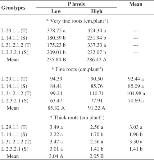 TABLE 6. Root length by diameter classes, very fine roots (Ø < 0,5 mm), fine roots (> 0,5 Ø < 
