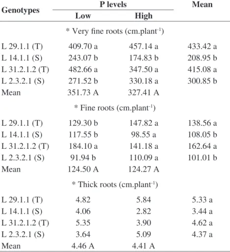 TABLE 7. Root length by diameter classes, very fine roots (Ø < 0,5 mm), fine root (> 0,5 Ø < 