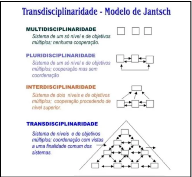 Figura 05 – Transdisciplinaridade – Modelo de Jantsch  