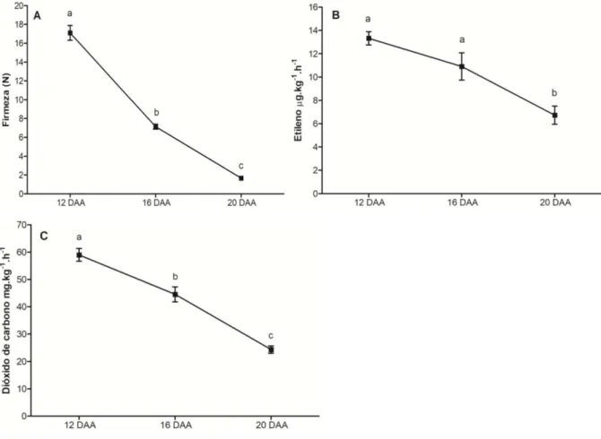 Figura 3  –  Mensuração da firmeza (A), etileno (B) e dióxido de carbono (C) da acerola nos  estádios  verde  (12  DAA),  intermediário  (16  DAA)  e  maduro  (20  DAA)