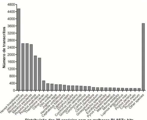 Figura  8  – Distribuição  das  30  espécies  com  os  melhores  resultados  estatísticos  (BLASTx)  para o transcriptoma da aceroleira