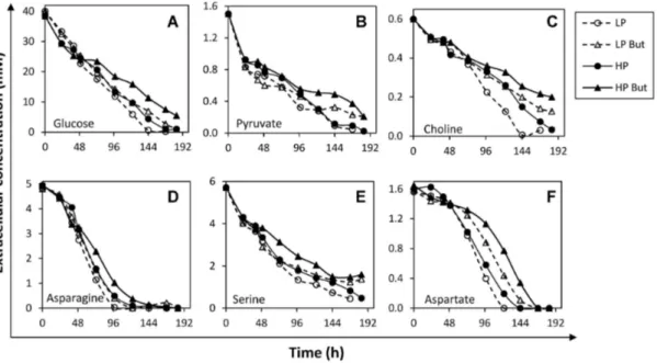 Figure  2.4  Extracellular  concentration  profiles  of  main  substrate  metabolites  quantified  in  the  exometabolome of culture set I, including control and butyrate-treated (But) cultures of HP and LP clones