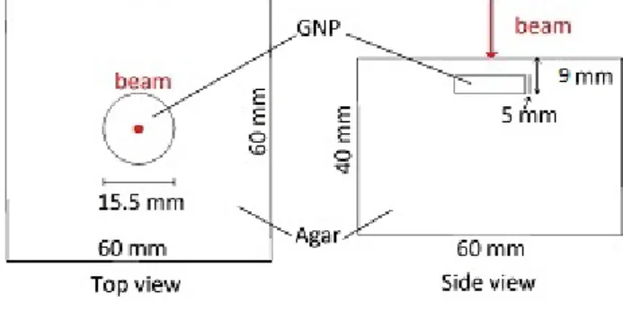 Fig. 1 Gel phantom setup. The laser beam entry position and direction is depicted in red