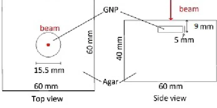 Fig. 1 Gel phantom setup. The laser beam entry position and direction is depicted in red