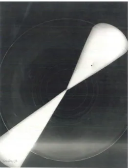 Figura 8 Man Ray, Rayograph, 1933