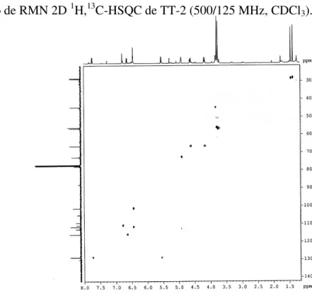 Figura 31  –  Espectro de RMN 2D  1 H, 13 C-HMBC de TT-2 (500/125 MHz, CDCl 3 ). As setas  numeradas  representam  as  correlações  à  longa  distância  observadas  e  sua  numeração  corresponde aos picos no espectro