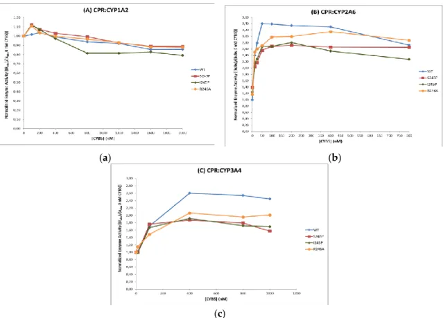 Figure 4. Effect of CYB5 concentration on maximum reaction velocities of CYP1A2 (A), 2A6 (B) and  3A4 (C) when sustained by WT CPR and the three hinge mutants