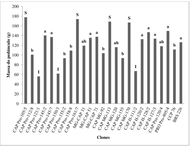 Gráfico 2 – Massa média do pedúnculo (g) dos cajus de diferentes clones de cajueiro- cajueiro-anão provenientes do Campo Experimental de Pacajus, CE