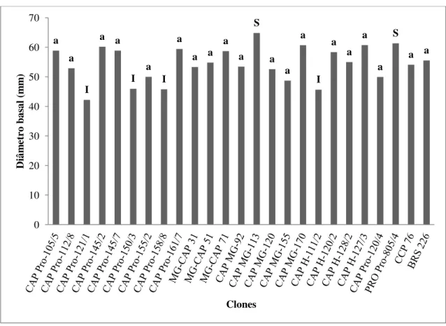 Gráfico  4  – Diâmetro  basal  médio  (mm)  dos  pedúnculos  de  diferentes  clones  de  cajueiro-anão provenientes do Campo Experimental de Pacajus, CE