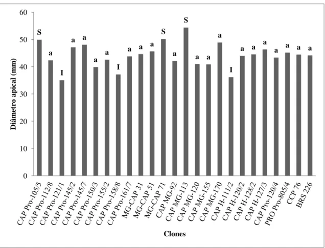 Gráfico  5  – Diâmetro  apical  médio  (mm)  dos  pedúnculos  de  diferentes  clones  de  cajueiro-anão provenientes do Campo Experimental de Pacajus, CE
