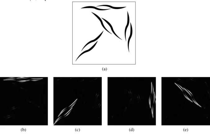 Figura 2 – Exemplo de aplicação do filtro de Gabor na imagem original 2a. Em 2a, 2b, 2c e 2d tem-se o resultado da magnitude do filtro para as orientações iguais 0, π/4, π/2 e 3π/4, respectivamente.