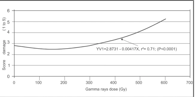 FIGURE 1. Average score damage (1 – damage absence and 5 – plant with more than 75% damage) to V 1  (IPA 467.4-2) plant variety by gamma rays doses.