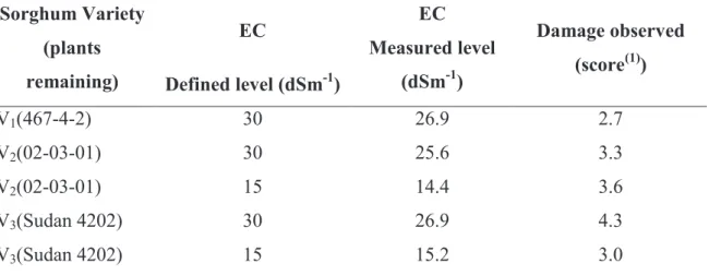 TABLE 5. Consolidated evaluation of surviving plants from sorghum varieties from 15 and 30 dS.m -1 salinity level and 450Gy gamma radiation dose.