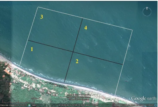 Figura  2  -  Delimitação  das  Zonas  (1  a  4)  da  área  de  estudo  monitorada  na  praia  de  Picos,  Icapuí-CE