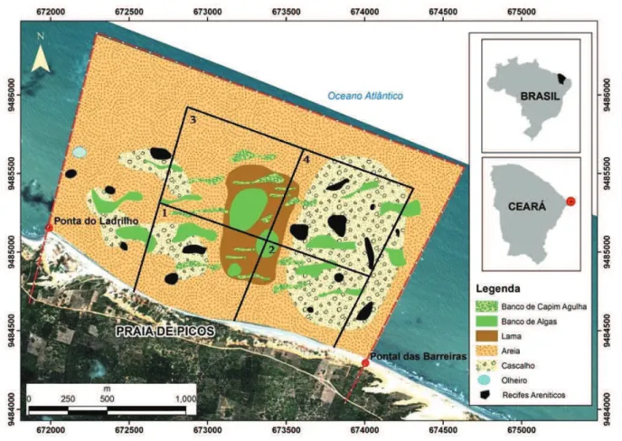 Figura  4  -  Mapa  ambiental  da  área  de  estudo  na  praia  de  Picos,  com  delimitação  das  zonas  amostradas