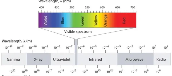 Figura 3.4. Diagrama com as faixas de comprimento de onda e frequência da radiação  eletromagnética (Averill &amp; Eldredge, 2007)