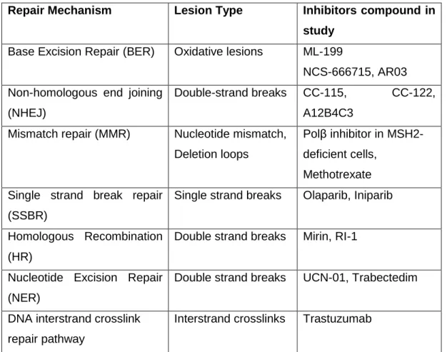 Table 1 – Endogenous repair mechanism according to a certain lesion type and the respective compounds  in study to target them