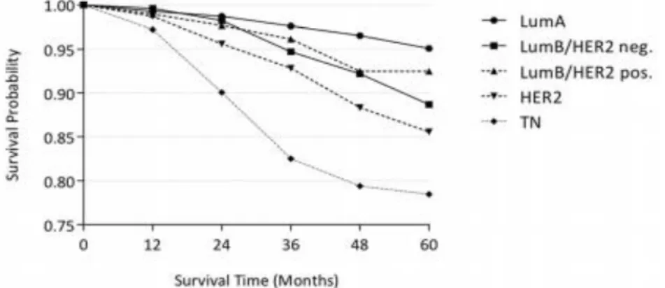 Figure 2 – Kaplan-meier plot of Overall Survival of local, unilateral non-metastatic breast cancer subtypes  according  to  their  molecular  portrait  and  the  corresponding  survival  time,  measured  in  months  after  a  lumpectomy  or  a  mastectomy