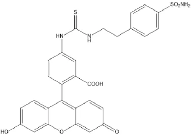 Figure 5 - Molecular structure of CAIX inhibitor CAI17. Adapted from Lou Y, McDonald PC, Oloumi A,  Chia S, Ostlund C, Ahmadi A, et al