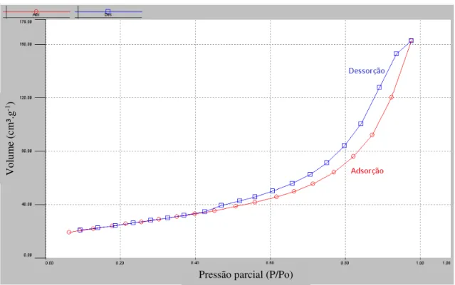 Figura 4.4 – Isoterma obtida na análise de multipontos de BET: T=80 ºC , gás:N 2   