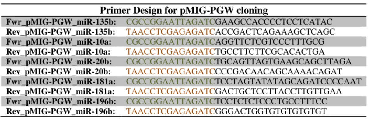 Table 1 -  Gene-specific primer design with 15bp extensions homologous to vector ends (in green for the forward primer, or  red for the reverse primer) for cloning of each one of the miR candidates into the pMig-PGW plasmid