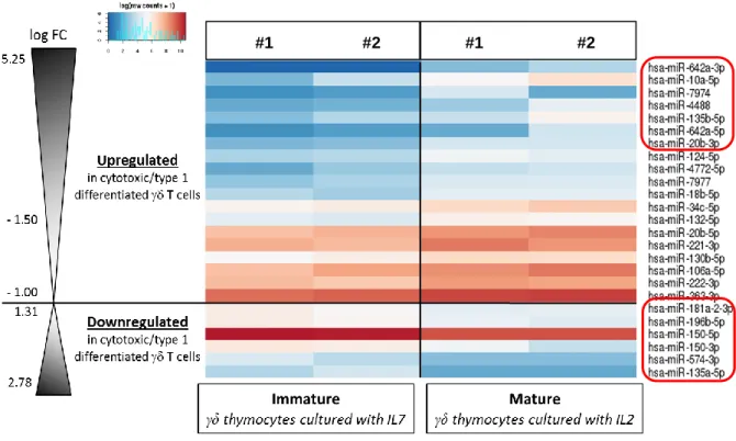 Figure 9 – MiR signature associated with γδ T cell type 1 differentiation. Heatmap representation of feature expression,  limiting to the top miRs differentially expressed (log Fold Change > 1.5) in  γδ thymocytes  cultured with IL-7  versus IL-2