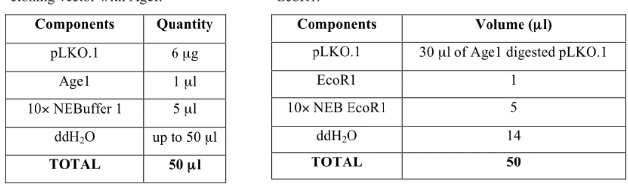 Table 3. Digestion of pLKO.1 TRC- TRC-cloning vector with AgeI. 