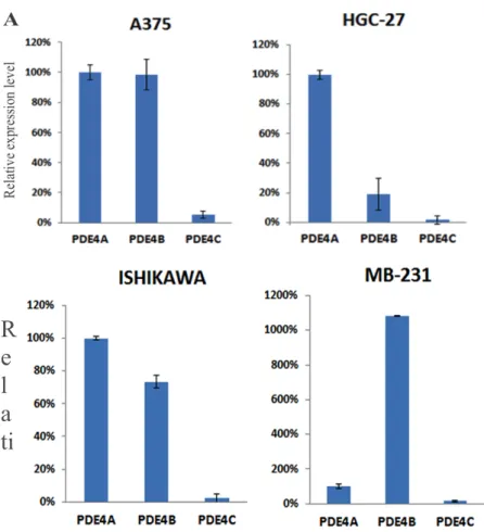Figure  3.  Determination  by  qPCR  of  PDE4  genes  (A,  B  and  C)  mRNA  relative  expression  level  in  a  panel of different cancer cell lines