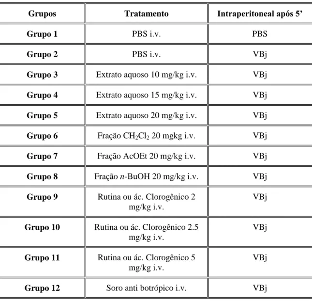 Tabela 6 – Distribuição dos grupos em modelo de envenenamento induzido por de 