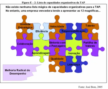 Figura E – 2: Lista de capacidades organizativas da TAP 