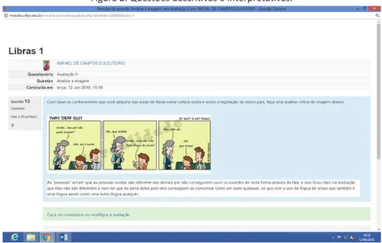 Figura 2. Questões descritivas e interpretativas. 